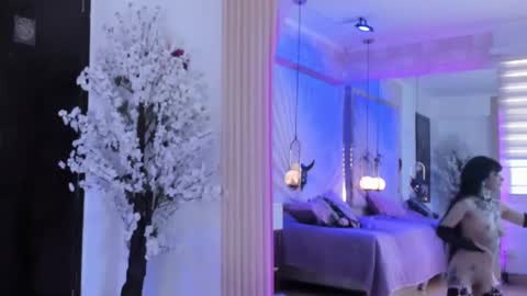    online show from February 2025 08:42:02 PM