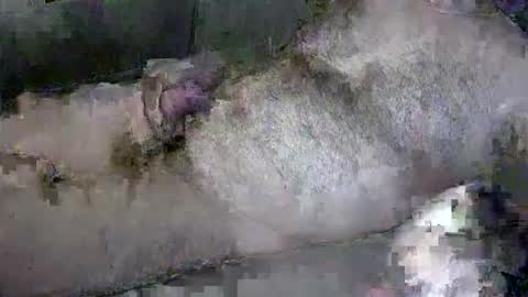 Snapshot of zepincam chatting on October 2025 05:18:01 AM zepincam online show from October 2025 05:18:01 AM