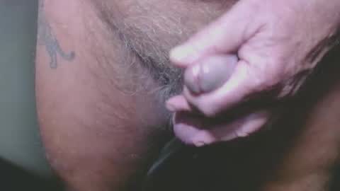 bambi cumslut online show from January 2025 03:00:02 AM