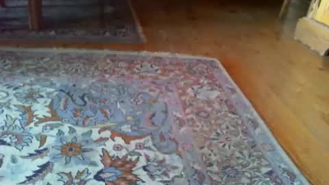 zevioo77 online show from March 2026 01:00:02 PM