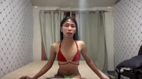 Zinnia nics online show from November 2025 05:51:02 AM