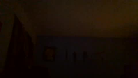 Snapshot of zippy9157 chatting on July 2026 04:48:01 AM zippy9157 online show from July 2026 04:48:01 AM