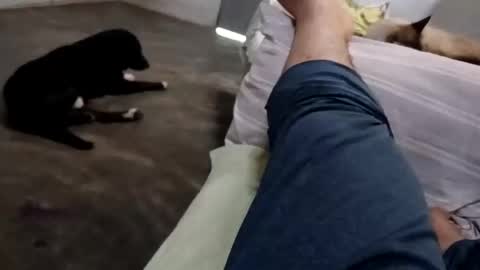 Snapshot of zitojose73 chatting on October 2025 06:49:02 PM zitojose73 online show from October 2025 06:49:02 PM