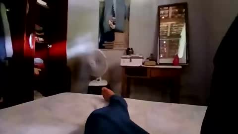 Snapshot of zitojose73 chatting on November 2025 05:12:02 PM zitojose73 online show from November 2025 05:12:02 PM