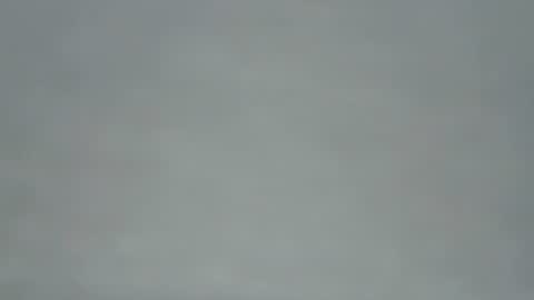 zobilov online show from May 2026 06:09:01 PM