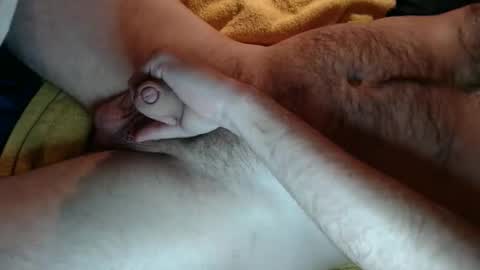 Snapshot of zobzob67 chatting on September 2025 02:39:02 PM Tom online show from September 2025 02:39:02 PM