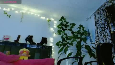 Snapshot of zoemi chatting on January 2025 01:45:02 AM zoemi online show from January 2025 01:45:02 AM