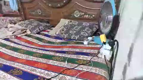 zoyakhan803 online show from February 2026 10:05:02 PM