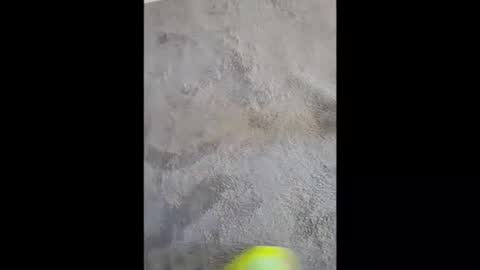 Snapshot of zuca_ chatting on April 2026 03:28:01 PM zuca_ online show from April 2026 03:28:01 PM