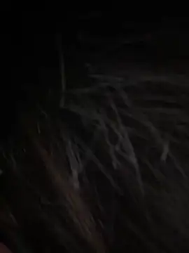 Serena-AU online show from January 2026 03:27:01 PM