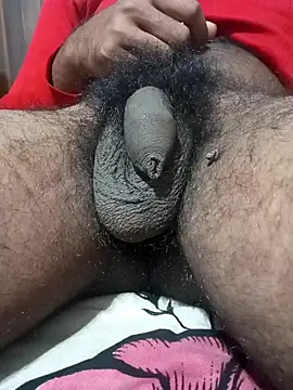 Snapshot of Nishu12356g chatting on January 2025 07:53:01 PM Nishu12356g online show from January 2025 07:53:01 PM