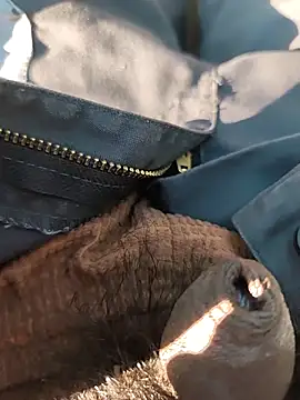 Snapshot of Nishu12356g chatting on September 2025 02:40:02 PM Nishu12356g online show from September 2025 02:40:02 PM