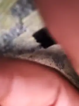 rajstrip12650 online show from February 2025 11:53:02 PM