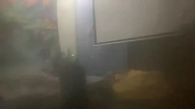 Fr4nk1eFFuxxx online show from March 2026 09:48:02 AM