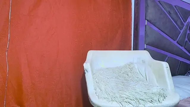 roxana collins online show from September 2025 09:22:02 AM