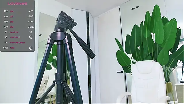 wowEva online show from January 2025 11:56:02 AM