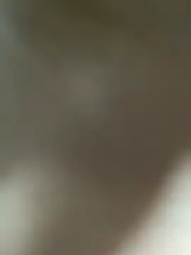 Lia flowers online show from March 2025 01:11:01 AM