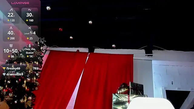 silvia lane online show from December 2024 11:18:01 AM