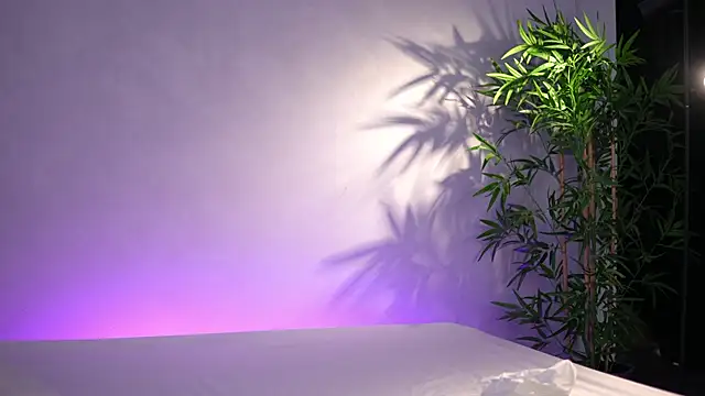 ArtTeasee online show from April 2026 05:27:01 AM