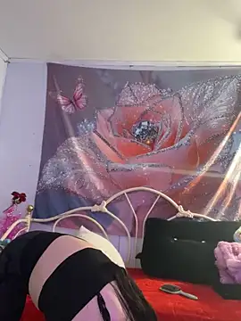 DominiqueX0 online show from February 2026 09:04:01 PM