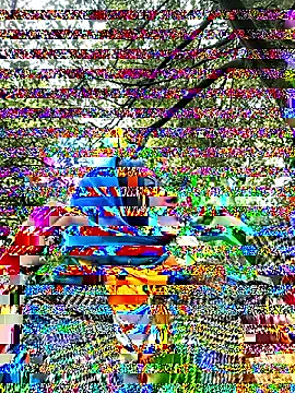 Sam Sara online show from September 2025 05:48:01 PM