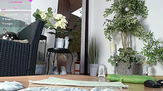 Snapshot of Squirtmania chatting on January 2025 07:20:01 AM Squirtmania online show from January 2025 07:20:01 AM