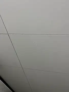 Tintola online show from February 2026 12:30:02 AM