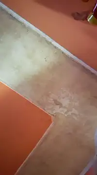 ducicsajsziii online show from March 2025 07:26:01 AM