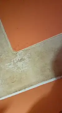 ducicsajsziii online show from March 2025 03:08:02 PM