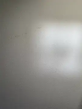 Wisco 23 online show from December 2024 04:16:02 AM