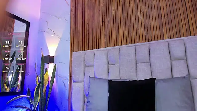 Ambar Fox29 online show from February 2026 03:13:02 AM