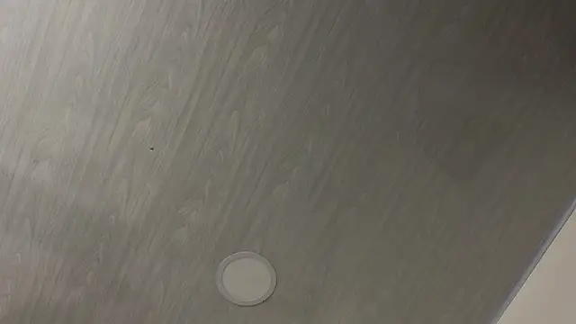 dolly zoe online show from February 2026 05:16:02 AM