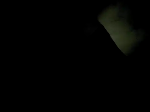 j hollywood91 online show from December 2025 05:46:01 AM