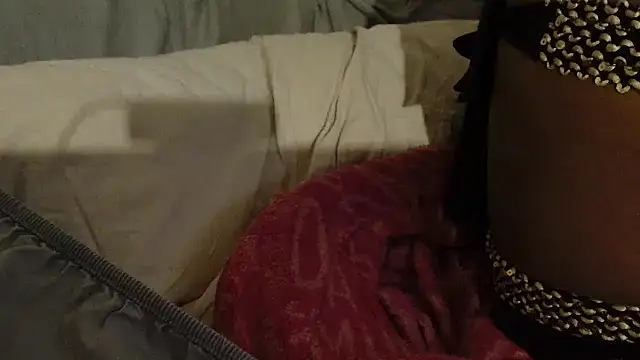 Snapshot of ROXYNL chatting on February 2025 01:11:01 AM ROXYNL online show from February 2025 01:11:01 AM