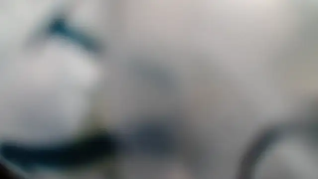 Snapshot of ROXYNL chatting on March 2025 03:50:02 PM ROXYNL online show from March 2025 03:50:02 PM