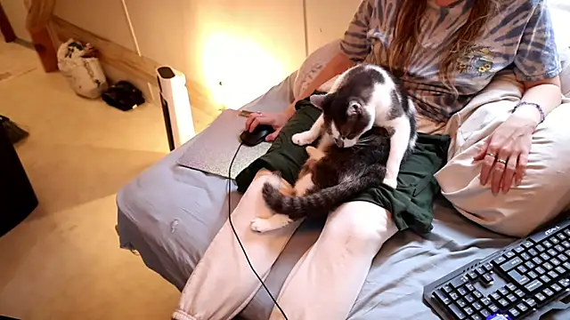 xxpixeyxx online show from November 2025 04:10:02 PM