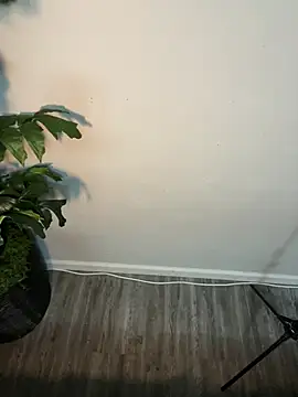 Snapshot of demonslayerr999 chatting on March 2025 06:05:02 AM demonslayerr999 online show from March 2025 06:05:02 AM