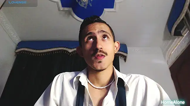 Snapshot of HomeAloneK chatting on March 2025 07:24:02 PM HomeAloneK online show from March 2025 07:24:02 PM