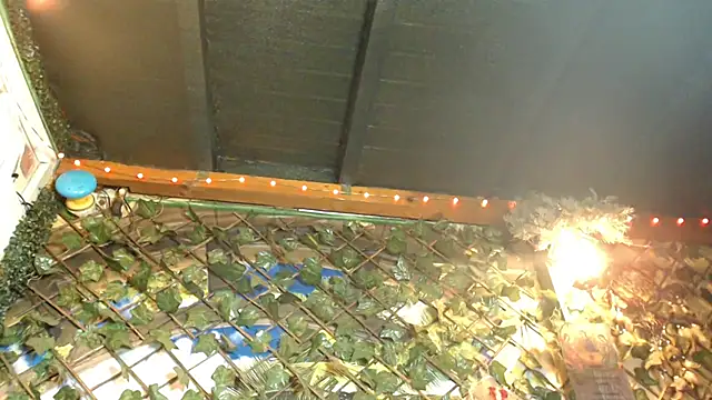 Snapshot of Bigboobs6930 chatting on January 2025 05:31:02 AM Bigboobs6930 online show from January 2025 05:31:02 AM