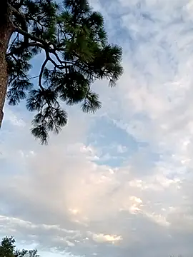 Snapshot of Hotbodyscottie chatting on October 2025 11:41:02 AM Hotbodyscottie online show from October 2025 11:41:02 AM