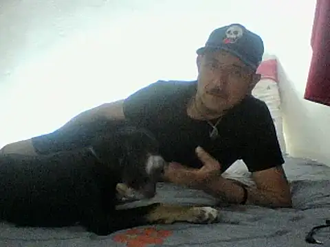 cartiagiz online show from September 2025 02:06:02 AM