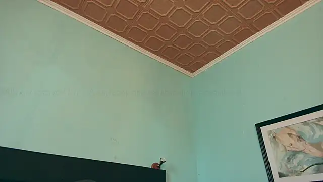 Prxscillia Tx online show from January 2025 03:15:02 PM