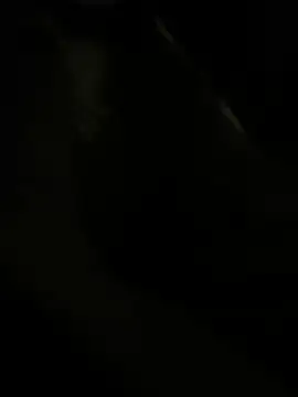 RoodoggXL online show from March 2025 03:20:01 AM