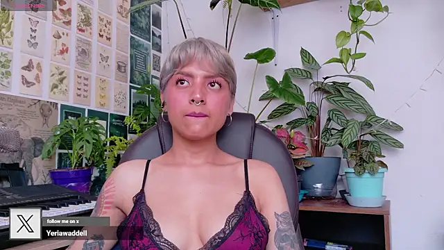 Snapshot of Yeriawaddell_ chatting on February 2026 05:42:02 PM Yeriawaddell online show from February 2026 05:42:02 PM