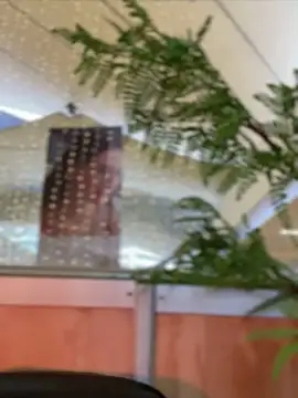 Emilia Bakerr online show from December 2024 09:31:02 PM