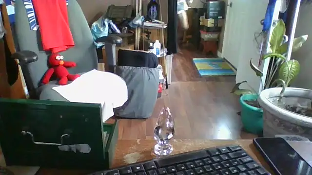 Snapshot of Daremeknot chatting on December 2024 07:00:02 PM Daremeknot online show from December 2024 07:00:02 PM