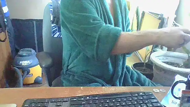 Snapshot of Daremeknot chatting on February 2025 03:18:01 PM Daremeknot online show from February 2025 03:18:01 PM