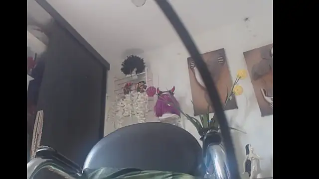 Snapshot of bardotbigcockts chatting on February 2025 07:38:02 PM bardotbigcockts online show from February 2025 07:38:02 PM