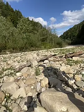 Snapshot of artXhibitor chatting on September 2025 01:16:02 PM artXhibitor online show from September 2025 01:16:02 PM