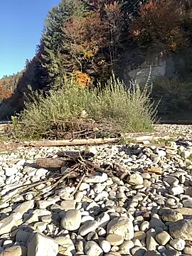 Snapshot of artXhibitor chatting on October 2025 02:29:01 PM artXhibitor online show from October 2025 02:29:01 PM